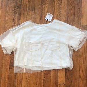 NWT sheer loose fitted bustier crop top
